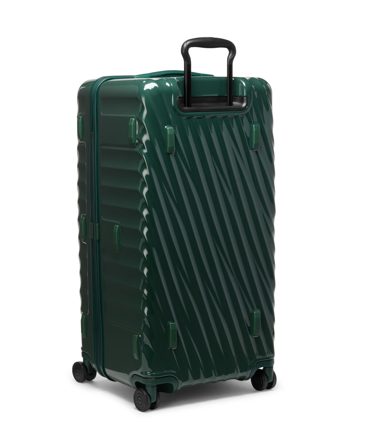 19 Degree Large Trunk